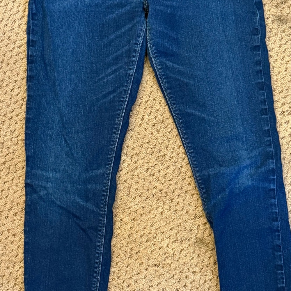 Hudson Jeans Dark Blue Women's Skinny Jeans